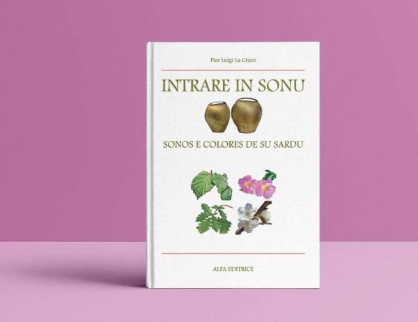 INTRARE IN SONU 1 INTRARE IN SONU